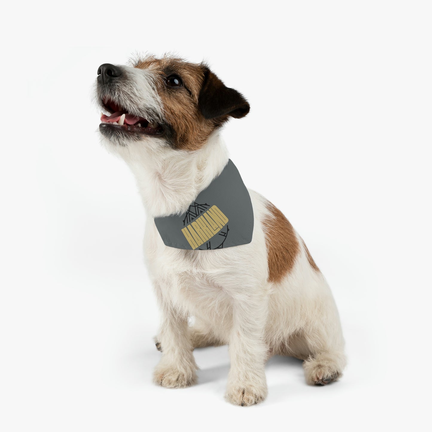 "The Jazzy" Pet Bandana Collar