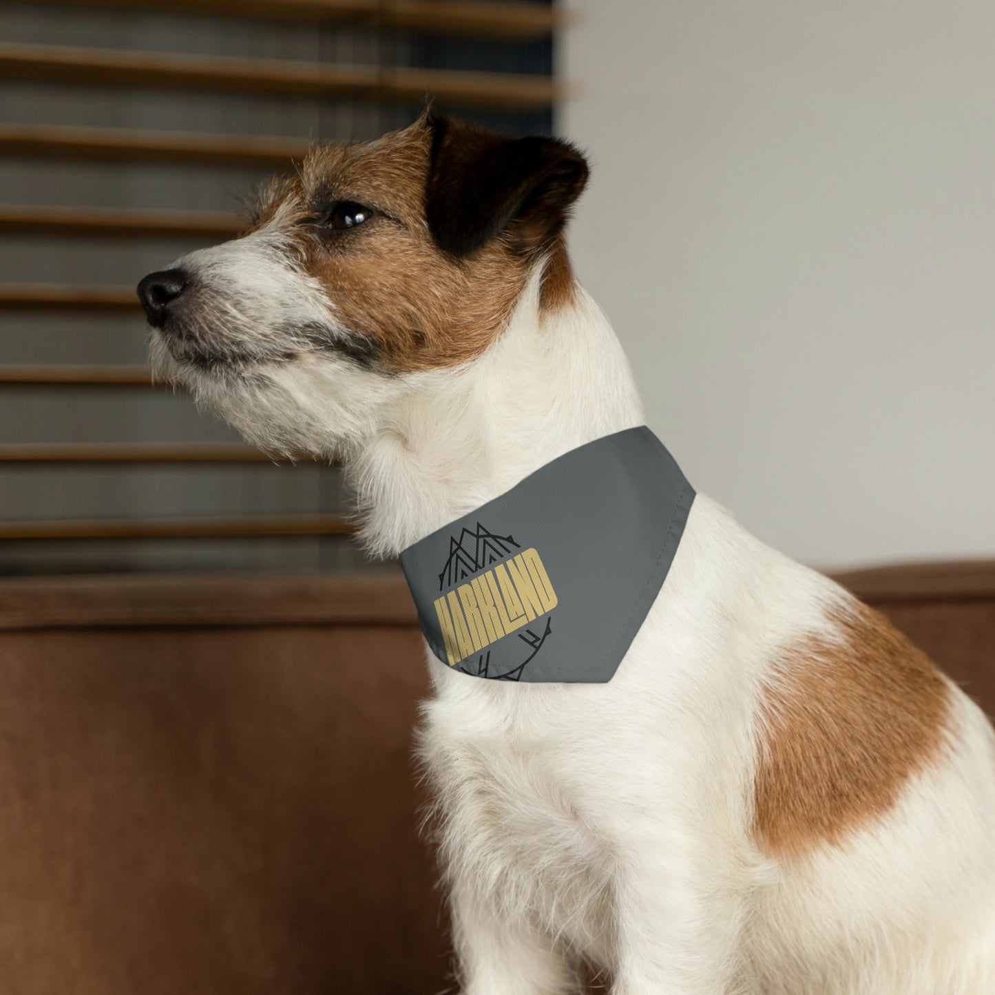 "The Jazzy" Pet Bandana Collar