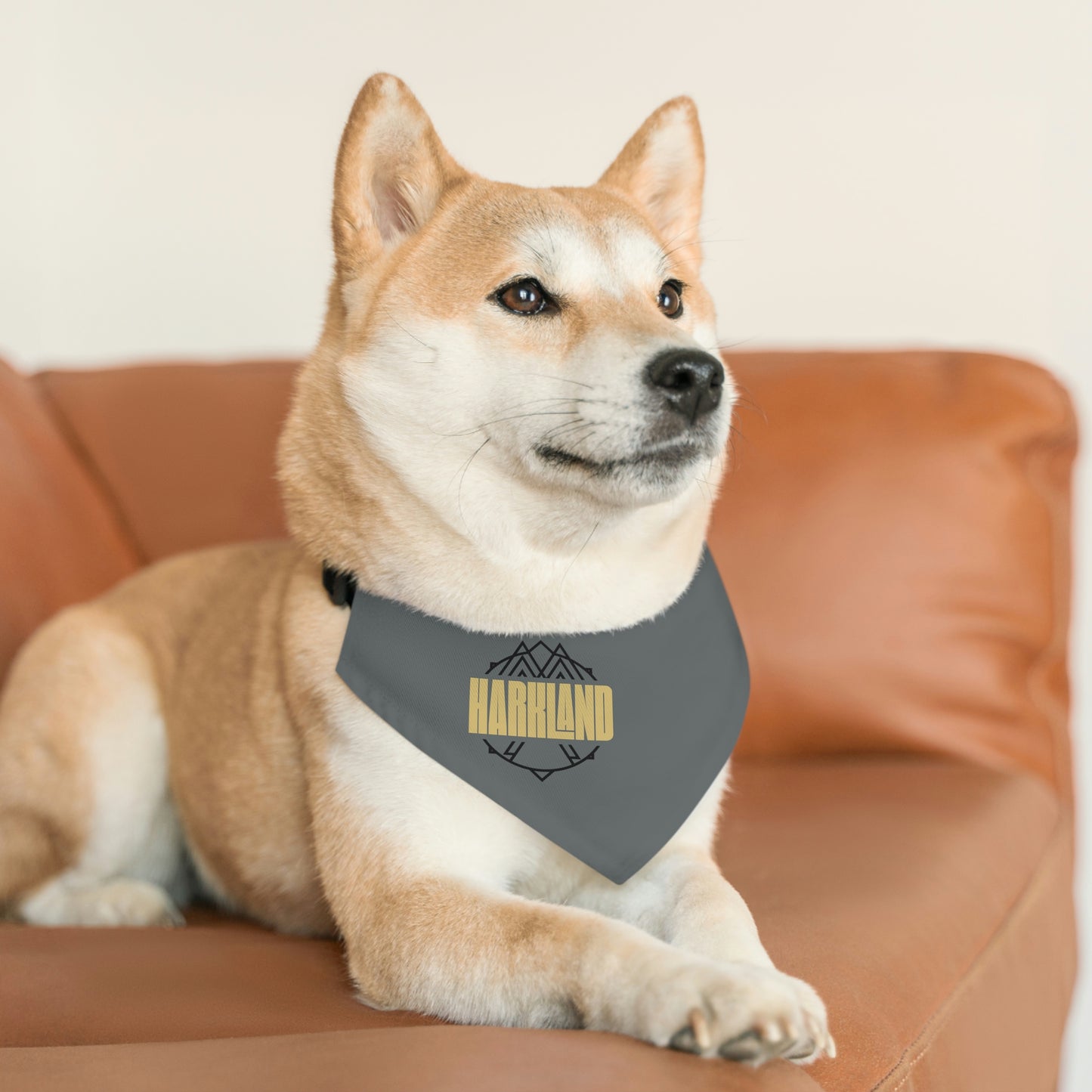 "The Jazzy" Pet Bandana Collar